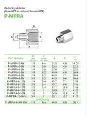 P-MFRA-2-4N-S6