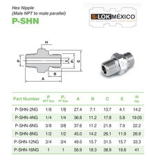 P-SHN-4N-S6